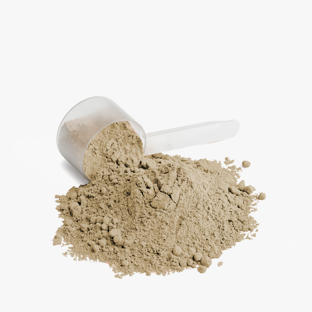 Asuvo Plant Protein (Vanilla) – product photo 5